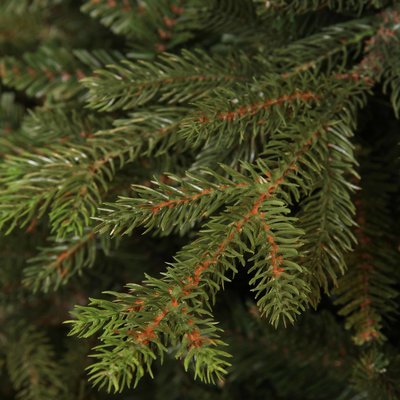 Buchanan - Grün - Triumph Tree künstlicher Weihnachtsbaum