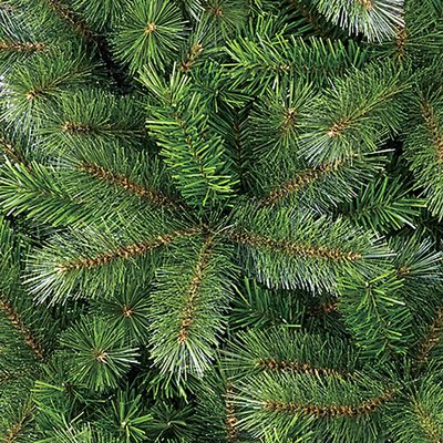 Medford - Grün - BlackBox künstlicher Weihnachtsbaum