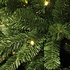 Charlton LED Slim (schmal) - Grün - BlackBox künstlicher Weihnachtsbaum