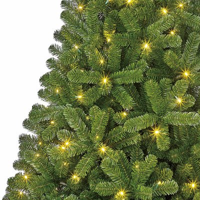 Charlton LED - Groen - BlackBox kunstkerstboom