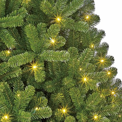 Charlton LED - Grün - BlackBox künstlicher Weihnachtsbaum