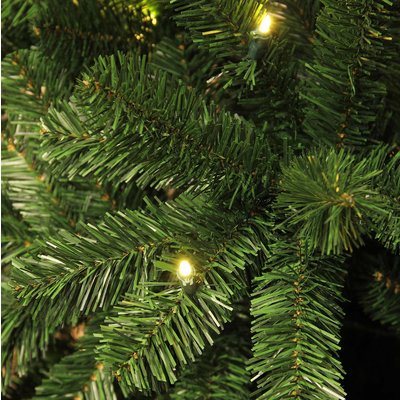 Charlton LED - Grün - BlackBox künstlicher Weihnachtsbaum
