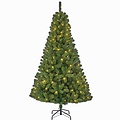 Charlton LED - Groen - BlackBox kunstkerstboom