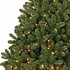 Aktion! Hamar LED - H 185cm - Grün - BlackBox künstlicher Weihnachtsbaum