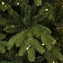 Brampton Spruce LED Slim (schmal) - Grün - BlackBox künstlicher Weihnachtsbaum