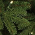 Brampton Spruce LED Slim (smal) - Groen - BlackBox kunstkerstboom