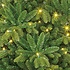 Brampton Spruce LED Slim (smal) - Groen - BlackBox kunstkerstboom