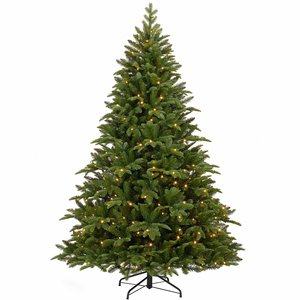 Black Box Trees Dinsmore wreath green frosted TIPS 72 - 45 cm kopen? -  tuincentrum Osdorp :)