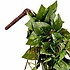 Künstliche Kletterpflanze Efeu Grünbunt -Stecker L 80cm - Mica Decorations