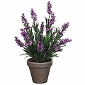 Künstliche Pflanze Lavendel Lila - H 33cm - Keramiktopf - Mica Decorations