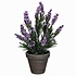 Künstliche Pflanze Lavendel Lila - H 33cm - Keramiktopf - Mica Decorations