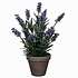 Künstliche Pflanze Lavendel Blau - H 33cm - Keramiktopf - Mica Decorations