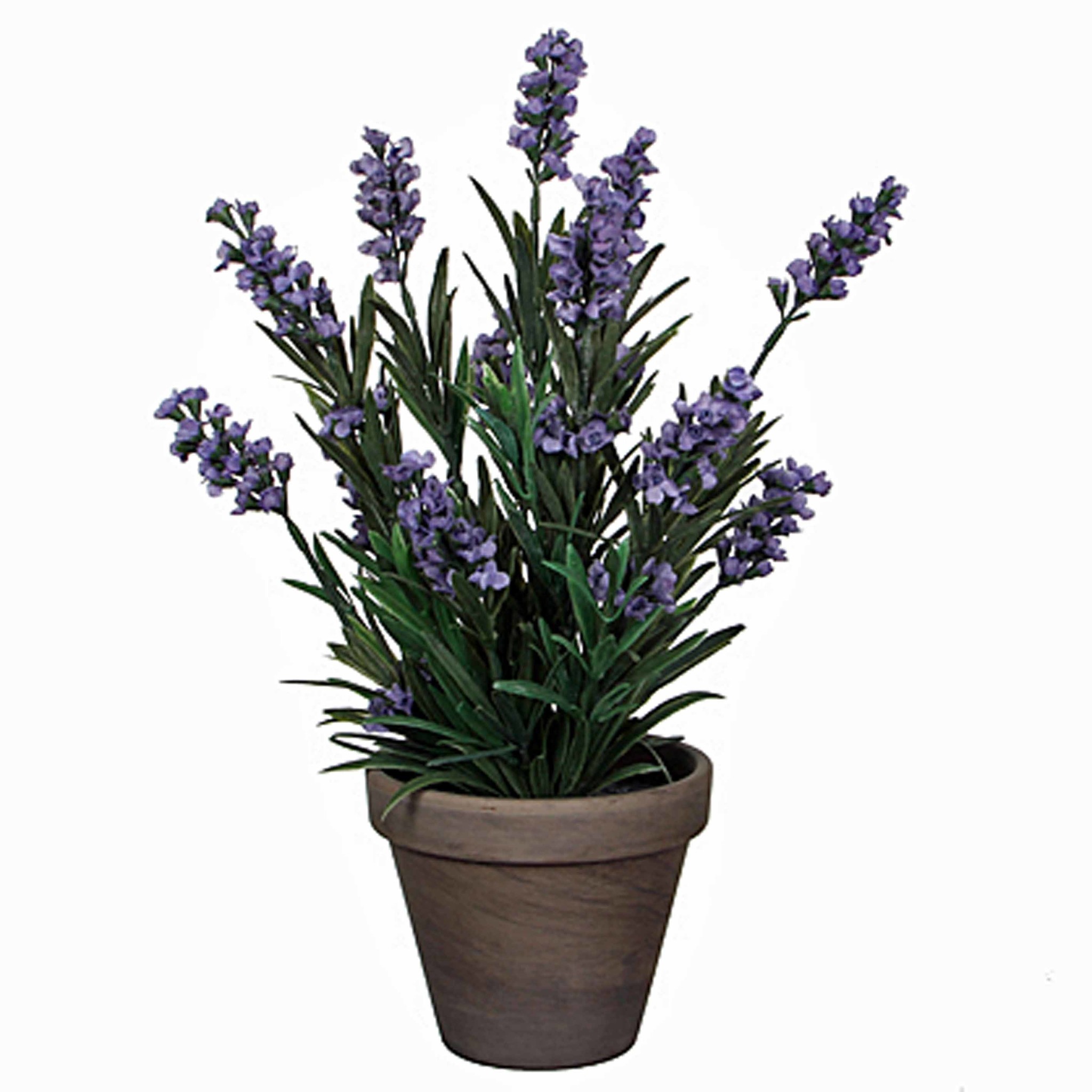 fuchsschwanzgras knstlich Kunstgras | Knstliches Fuchsschwanzgras Elsa | 90 - 120 cm
