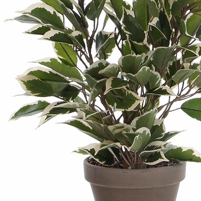 Künstliche Pflanze Ficus Natasja Grünbunt - H 40cm - Keramiktopf - Mica Decorations