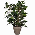 Kunstplant Ficus Natasja Groen - H 40cm - Keramiek sierpot - Mica Decorations