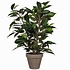 Kunstplant Ficus Natasja Groen - H 40cm - Keramiek sierpot - Mica Decorations