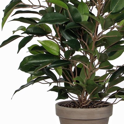 Künstliche Pflanze Ficus Natasja Grün - H 40cm - Keramiktopf - Mica Decorations