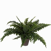 Künstliche Pflanze Farn Boston Grün - H 42cm - Keramiktopf - Mica Decorations