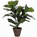 Künstliche Pflanze Ficus Lyrata Tabakpflanze Grün - H 35 cm - Keramiktopf - Mica Decorations