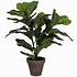 Kunstplant Ficus Lyrata Tabaksplant Groen - H 35cm - Keramiek sierpot - Mica Decorations