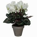 Kunstplant Cyclaam Wit - H 30cm - Keramiek sierpot - Mica Decorations