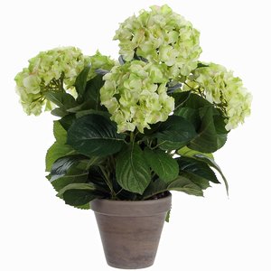 Kunstplant Hortensia Groen / Crème - H 45cm - Keramiek sierpot - Mica Decorations