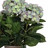 Kunstplant Hortensia Lichtpaars- H 45cm - Keramiek sierpot - Mica Decorations