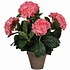 Kunstplant Hortensia Roze - H 45cm - Keramiek sierpot - Mica Decorations