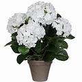 Künstliche Pflanze Hortensie Weiß - H 45 cm - Keramiktopf - Mica Decorations