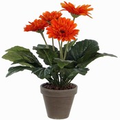 Kunstplant Gerbera Oranje - H 35cm - Keramiek sierpot - Mica Decorations