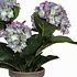 Künstliche Pflanze Hortensie Hellviolett - H 40 cm - Keramiktopf - Mica Decorations