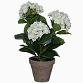 Künstliche Pflanze Hortensie Weiß - H 40 cm - Keramiktopf - Mica Decorations