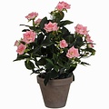 Künstliche Pflanze Rosebush Rosa - H 33cm - Keramiktopf - Mica Decorations