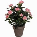 Kunstplant Rozenstruik Roze - H 33cm - Keramiek sierpot - Mica Decorations