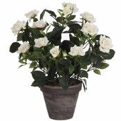 Kunstplant Rozenstruik Wit - H 33cm - Keramiek sierpot - Mica Decorations