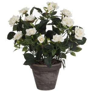 Künstliche Pflanze Rosebush Weiß - H 33cm - Keramiktopf - Mica Decorations