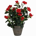 Kunstplant Rozenstruik Rood - H 33cm - Keramiek sierpot - Mica Decorations