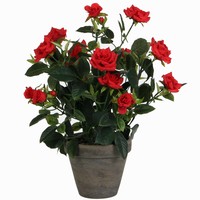 Künstliche Pflanze Rosebush Rot - H 33cm - Keramiktopf - Mica Decorations