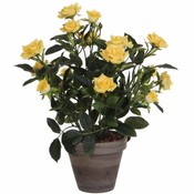 Künstliche Pflanze Rosebush Gelb - H 33cm - Keramiktopf - Mica Decorations
