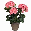 Künstliche Pflanze Hortensie Rosa - H 40 cm - Keramiktopf - Mica Decorations