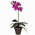 Kunstplant Orchidee Phalaenopsis Paars - H 48cm - Keramiek sierpot - Mica Decorations