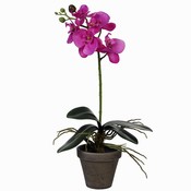 Künstliche Pflanze Orchidee Phalaenopsis Lila - H 48 cm - Keramiktopf - Mica Decorations