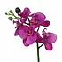 Künstliche Pflanze Orchidee Phalaenopsis Lila - H 48 cm - Keramiktopf - Mica Decorations