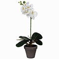 Kunstplant Orchidee Phalaenopsis Wit - H 48cm - Keramiek sierpot - Mica Decorations