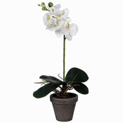 Künstliche Pflanze Orchidee Phalaenopsis Weiß - H 48 cm - Keramiktopf - Mica Decorations