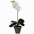 Künstliche Pflanze Orchidee Phalaenopsis Weiß - H 48 cm - Keramiktopf - Mica Decorations