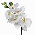 Künstliche Pflanze Orchidee Phalaenopsis Weiß - H 48 cm - Keramiktopf - Mica Decorations