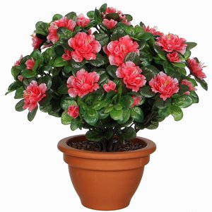 Künstliche Pflanze Azalee Pfirsich - H 35cm - Terrakottatopf - Mica Decorations