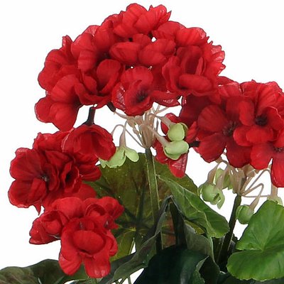 Künstliche Pflanze Geranie Rot - H 34 cm - Keramiktopf - Mica Decorations