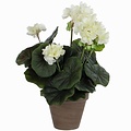 Kunstplant Geranium crème-wit - H 34cm - Keramiek sierpot - Mica Decorations